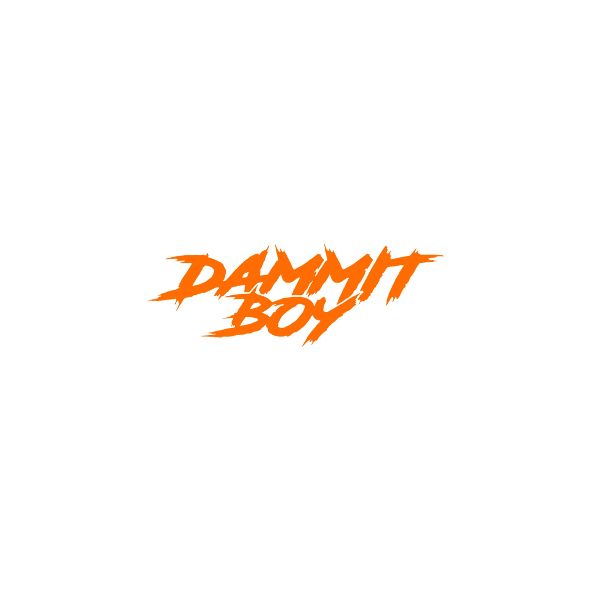 SMALL "DAMMIT BOY" DECAL - Image 10