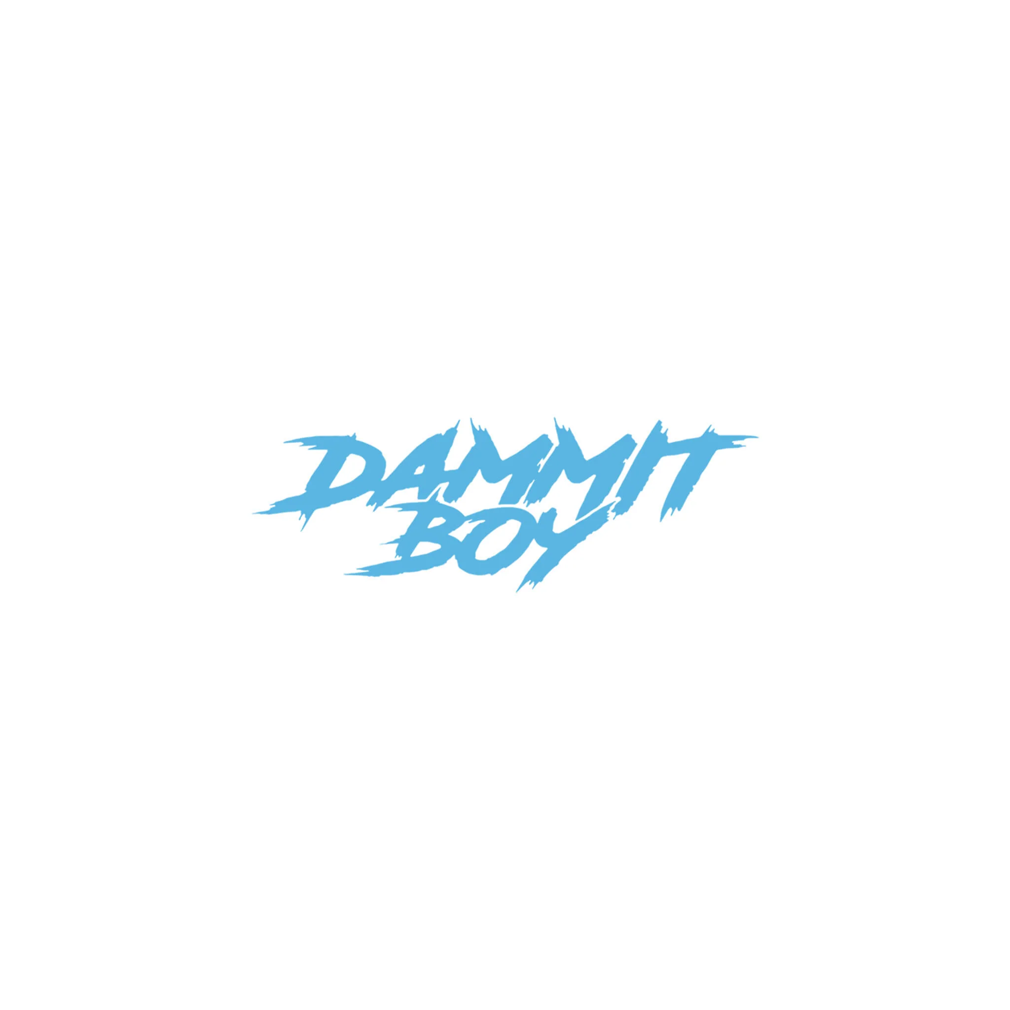 SMALL "DAMMIT BOY" DECAL - Image 13